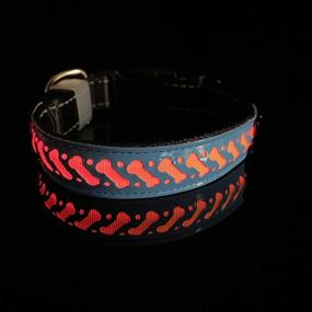 img 1 attached to LED Dog Collar - Woody & Winni | USB Rechargeable Safety Light Up | PU Leather Adjustable | Suitable for Dogs | Keep Pet Safe and Visible