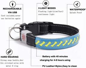 img 3 attached to LED Dog Collar - Woody & Winni | USB Rechargeable Safety Light Up | PU Leather Adjustable | Suitable for Dogs | Keep Pet Safe and Visible
