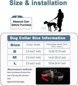 img 4 attached to LED Dog Collar - Woody & Winni | USB Rechargeable Safety Light Up | PU Leather Adjustable | Suitable for Dogs | Keep Pet Safe and Visible