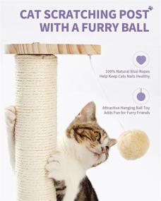 img 1 attached to Enhance Your Cat's Playtime with the 🐾 Made4Pets Wooden Cat Scratching Post and Interactive Cat Toy