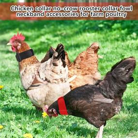 img 2 attached to 🐔 Quiet and Happy Coops: 6-Piece Anti-Crow Rooster Collar Set for Peaceful Surroundings