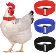 🐔 quiet and happy coops: 6-piece anti-crow rooster collar set for peaceful surroundings logo