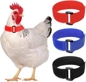 img 4 attached to 🐔 Quiet and Happy Coops: 6-Piece Anti-Crow Rooster Collar Set for Peaceful Surroundings