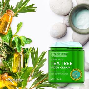 img 1 attached to 👣 Moisturizing Tea Tree Foot Cream for Dry Cracked Feet - Treat Athlete's Foot Fungus, Nail Fungus, Ringworm, Jock Itch, and Itchy Skin - 8 oz Tea Tree Cream