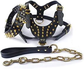 img 2 attached to 🐾 Didog Soft Leather Dog Walking Training Hiking Sports Harness Collar Chain Leash Set for Medium to X-Large Dogs, Specifically for Pitbulls, Bulldogs, Labradors, Golden Retrievers, and K9s