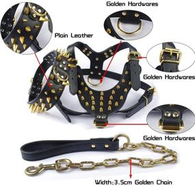 img 1 attached to 🐾 Didog Soft Leather Dog Walking Training Hiking Sports Harness Collar Chain Leash Set for Medium to X-Large Dogs, Specifically for Pitbulls, Bulldogs, Labradors, Golden Retrievers, and K9s