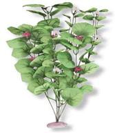 🌿 silk-style broad lily leaf aquarium plant - vibran-sea логотип