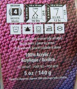 img 2 attached to 🧶 Bernat Pop! Yarn, 6-Pack (Paisley Pop): Vibrant Colors and Superior Quality for All Your Crafting Needs