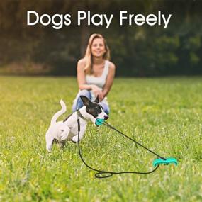 img 1 attached to 🐶 20 ft Dog Tie Out Cable Stake for Dogs Up to 90/110 lbs - Perfect for Camping, Training, Playing - Plus Bonus Dog Chew Toy