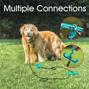 img 2 attached to 🐶 20 ft Dog Tie Out Cable Stake for Dogs Up to 90/110 lbs - Perfect for Camping, Training, Playing - Plus Bonus Dog Chew Toy