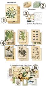 img 1 attached to DESEACO Vintage Aesthetic Botany Washi Sticker Set: Antique Plants, Floral Butterflies, Retro Decals for Scrapbooking and Journaling