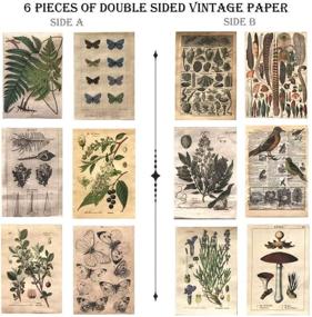 img 2 attached to DESEACO Vintage Aesthetic Botany Washi Sticker Set: Antique Plants, Floral Butterflies, Retro Decals for Scrapbooking and Journaling
