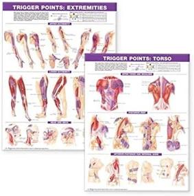 img 1 attached to Complete Guide: Trigger Point Chart Set for Extremities – Unlocking Pain Relief & Muscle Healing