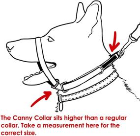 img 2 attached to 🐶 Canny Collar: The Powerful Dog Training Solution for Large Breeds, Effectively Stops Pulling During Walks - Black