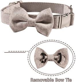 img 2 attached to 🐾 Qucey Adjustable Dog and Cat Collar with Detachable Bowtie - Stylish Collars for Small, Medium, and Large Pets