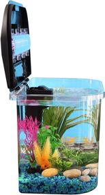 img 1 attached to 🐠 Koller Products 5-Gallon Aquarium Kit with LED Lighting, Power Filter, and 1-Year Filter Cartridge Supply