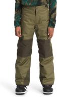 🌲 stay warm and stylish with north face insulated evergreen mountain boys' pants logo