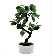 🌳 hejdeco 18.5-inch artificial bonsai tree, faux plants décor, potted fake house plants, realistic trunk, white pot logo