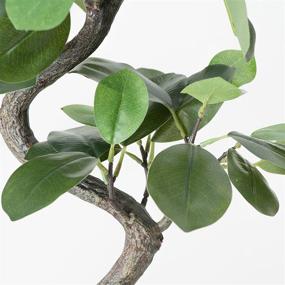 img 1 attached to 🌳 Hejdeco 18.5-inch Artificial Bonsai Tree, Faux Plants Décor, Potted Fake House Plants, Realistic Trunk, White Pot