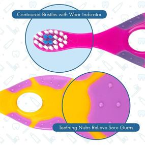 img 1 attached to 👶 6 Pack - Baby Toothbrush, Soft Bristles, BPA Free, 0-2 Years, Toddler & Infant Toothbrush, Training Toothbrush, Includes Free Toothbrush Holder