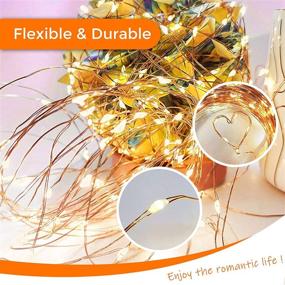 img 1 attached to 🌼 Garden Solar String Lights Outdoor Waterproof 200Led Fairy Lights Powered by Solar with 8 Modes Warm White Copper Wire Twinkle Lights Decorative for Yard