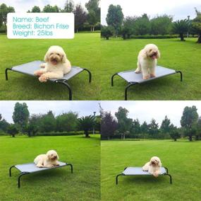 img 3 attached to PHYEX Heavy-Duty Steel-Framed Portable 🐾 Elevated Pet Bed for Enhanced Cooling Comfort