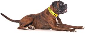 img 3 attached to Yellow Colour Coded NERVOUS Dog Collars (S-M L-XL): Give Me Space and Prevent Accidents by Alerting Others to Your Dog in Advance