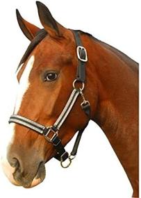 img 1 attached to 🐴 Intrepid International Breakaway Leather Crown Padded Halter: The Ultimate Equine Safety and Comfort Solution