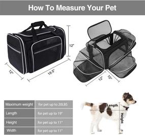 img 3 attached to 🐾 MASKEYON TSA Airline Approved Large Pet Travel Carrier: Expandable, Mesh Pockets, Washable Pads – Ideal Soft Sided Collapsible Dog Carrier for 2 Cats, Kittens, Puppies