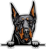 наклейка для автомобиля doberman - универсальная наклейка с породой собаки для термокружек, ноутбуков и автомобильных окон: идеальный способ показать свою любовь к доберманам! логотип