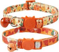 🐱 boombone thanksgiving cat collar with bell - pack of 2 kitten collars logo