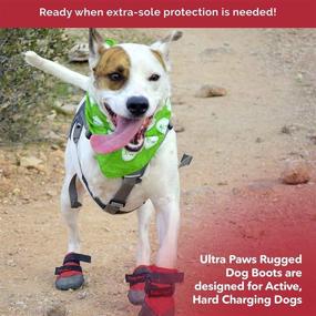 img 1 attached to Highly Resilient Water-Resistant Nylon Dog Boots with Thick Soles for Small, Medium, and Large Breeds