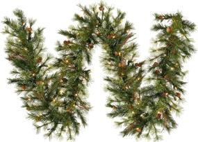 img 4 attached to 🎄 Vickerman 9-foot Mixed Country Pine Artificial Christmas Garland with Clear Dura-lit Incandescent Lights - Faux Mixed Needle Indoor Seasonal Home Decor