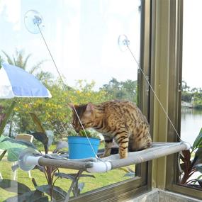 img 4 attached to 🐱 Идеальный комфорт для домашних кошек: 360° Солнечное место для кошек на окне - безопасная установка на окне и полка для отдыха для экономии места