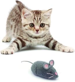 img 1 attached to 🐭 HEXBUG Mouse Robotic Cat GREY: Making Playtime Purr-fectly Exciting!
