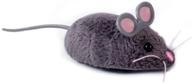 🐭 hexbug mouse robotic cat grey: making playtime purr-fectly exciting! logo