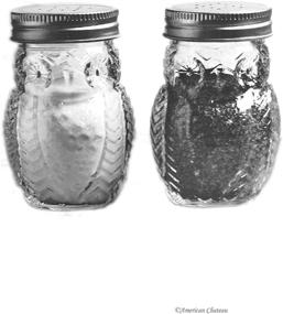 img 1 attached to Circleware Owl Shaped Glass Mason Salt and Pepper Shakers with Metal Lids - Ideal for Himalayan Seasoning, Herbs, Spices - 2-Piece Set