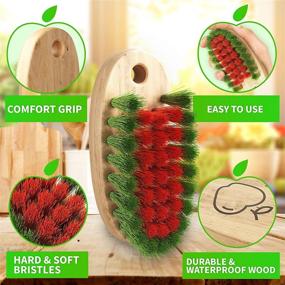 img 3 attached to 🥕 Konex Veggiescrub - The Ultimate Fruit and Vegetable Cleaning Brush