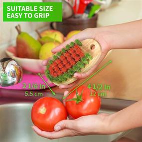 img 2 attached to 🥕 Konex Veggiescrub - The Ultimate Fruit and Vegetable Cleaning Brush