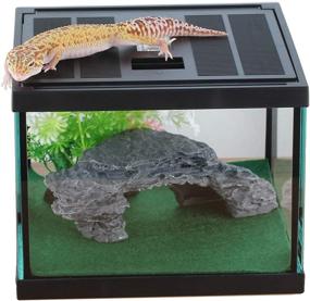 img 4 attached to 🕷️ Ultimate Glass Tank Spider Box Kit: Tarantula Feeder Insects, Beetle Amphibians Terrarium, Small Pet Enclosure + Washable Mat, Resin Rock Shape Hideout, Artificial Flower