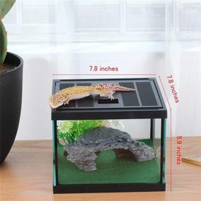 img 1 attached to 🕷️ Ultimate Glass Tank Spider Box Kit: Tarantula Feeder Insects, Beetle Amphibians Terrarium, Small Pet Enclosure + Washable Mat, Resin Rock Shape Hideout, Artificial Flower