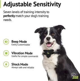 img 2 attached to 🐶 ZGO Shock Collars for Dogs with Remote: Rechargeable, Waterproof, and Long-Range Training Collar - 3 Modes, 7 Sensitivity Levels for Optimal Bark Control