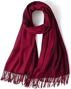 img 4 attached to 🧣 Warm Up in Luxury with LEMZONE Womens Cashmere Winter Pashmina: Must-Have Women's Accessories