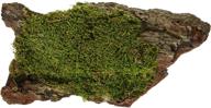 🌳 galápagos 05276 basking bark with sheet moss - 1 pc. логотип