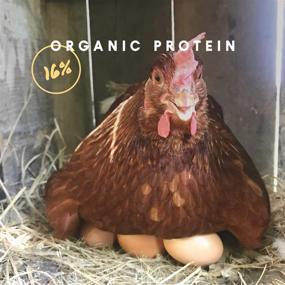 img 1 attached to 🐔 Manna Pro Organic Layer Pellets for Laying Hens - High Protein, Non-GMO Feed