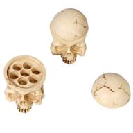 🧟 new star tattoo 7 holes skull resin tattoo ink cup holder: organize your tattoo supplies with this permanent makeup tattoo accessory logo