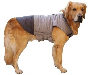 img 4 attached to Winter Windproof Waterproof Reversible Dog Coat for Cold Weather - BONAWEN Dog Jacket