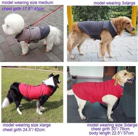 img 2 attached to Winter Windproof Waterproof Reversible Dog Coat for Cold Weather - BONAWEN Dog Jacket