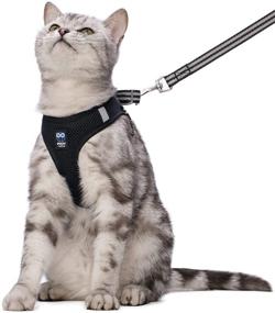 img 4 attached to 🐱 Escape Proof Cat Harness and Leash Set | Adjustable, Reflective, Breathable, Soft Air Mesh | Step-In Vest Jacket for Small, Medium, Large Kittens and Puppies | Easy Control for Outdoor Walking