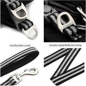 img 2 attached to 🐱 Escape Proof Cat Harness and Leash Set | Adjustable, Reflective, Breathable, Soft Air Mesh | Step-In Vest Jacket for Small, Medium, Large Kittens and Puppies | Easy Control for Outdoor Walking